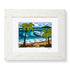 COASTAL PALMS